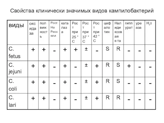 Свойства клинически значимых видов кампилобактерий