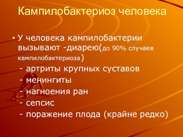 Кампилобактериоз человека У человека кампилобактерии вызывают -диарею(до 90% случаев кампилобактериоза) - артриты