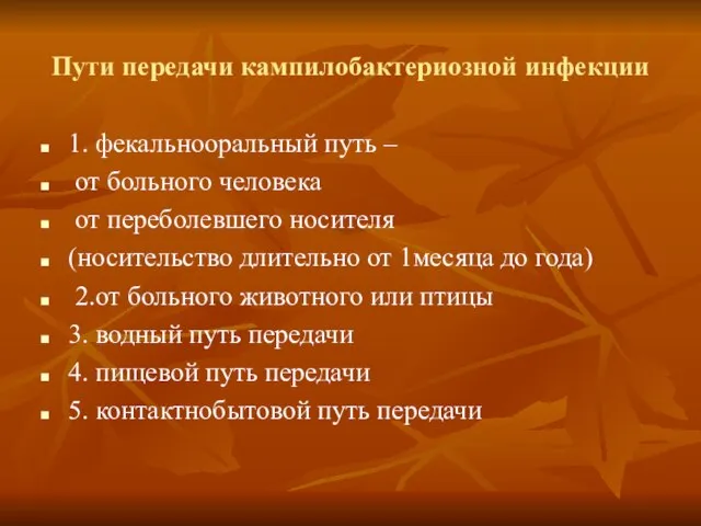 Пути передачи кампилобактериозной инфекции 1. фекальнооральный путь – от больного человека от