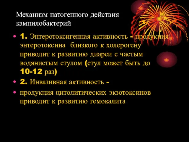 Механизм патогенного действия кампилобактерий 1. Энтеротоксигенная активность - продукция энтеротоксина близкого к