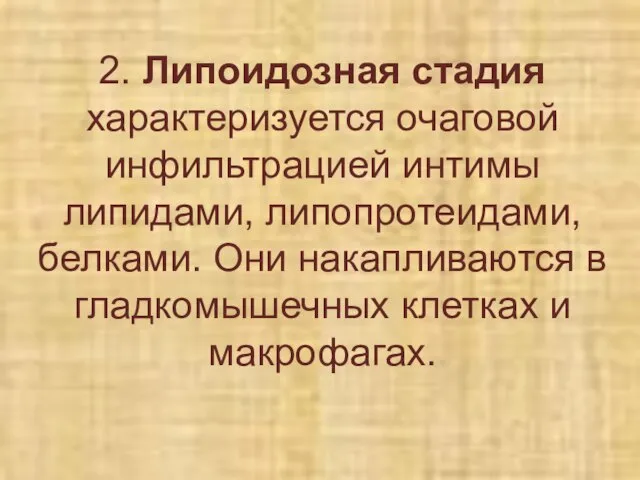 2. Липоидозная стадия характеризуется очаговой инфильтрацией интимы липидами, липопротеидами, белками. Они накапливаются