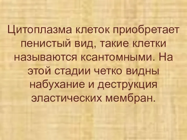 Цитоплазма клеток приобретает пенистый вид, такие клетки называются ксантомными. На этой стадии