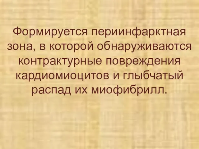 Формируется периинфарктная зона, в которой обнаруживаются контрактурные повреждения кардиомиоцитов и глыбчатый распад их миофибрилл.