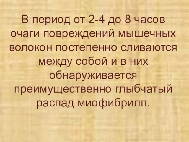 В период от 2-4 до 8 часов очаги повреждений мышечных волокон постепенно