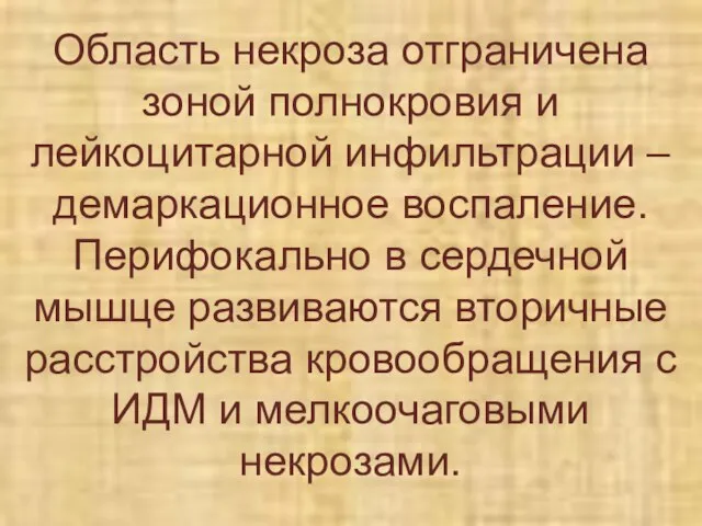 Область некроза отграничена зоной полнокровия и лейкоцитарной инфильтрации – демаркационное воспаление. Перифокально