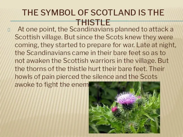 THE SYMBOL OF SCOTLAND IS THE THISTLE At one point, the Scandinavians