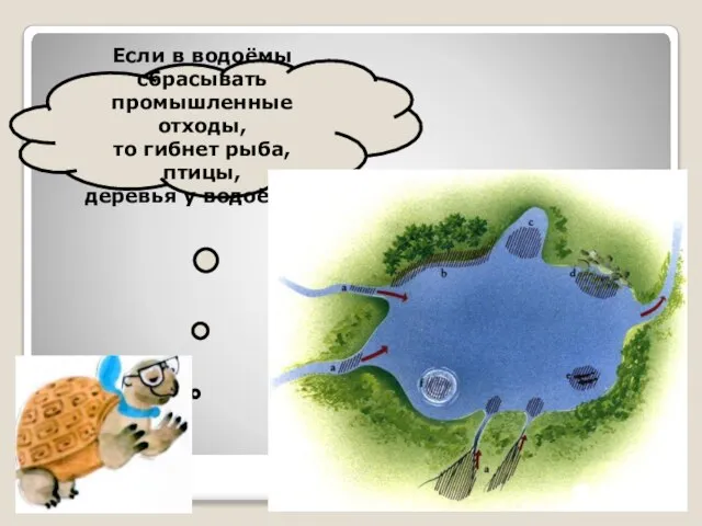 Если в водоёмы сбрасывать промышленные отходы, то гибнет рыба, птицы, деревья у водоёмов.