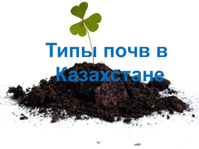 Типы почв в Казахстане