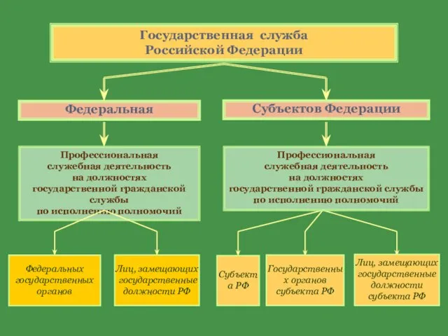 Государственная служба Российской Федерации Федеральная Профессиональная служебная деятельность на должностях государственной гражданской