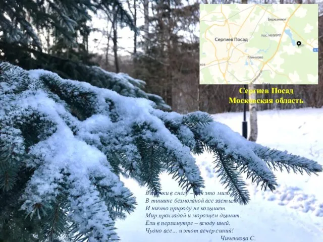 Сергиев Посад Московская область Веточки в снегу – как это мило. В