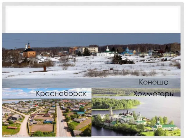 Коноша Красноборск Холмогоры