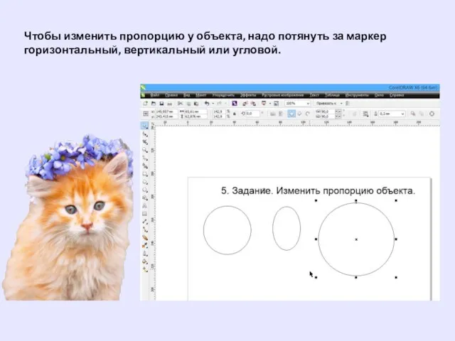 Чтобы изменить пропорцию у объекта, надо потянуть за маркер горизонтальный, вертикальный или угловой.