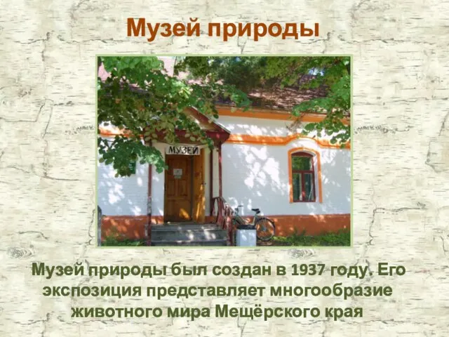 Музей природы Музей природы был создан в 1937 году. Его экспозиция представляет