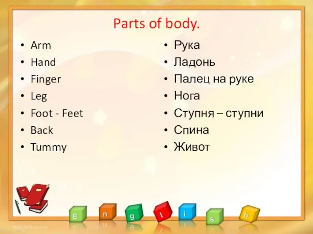 Parts of body. Arm Hand Finger Leg Foot - Feet Back Tummy