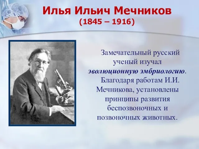 Илья Ильич Мечников (1845 – 1916) Замечательный русский ученый изучал эволюционную эмбриологию.