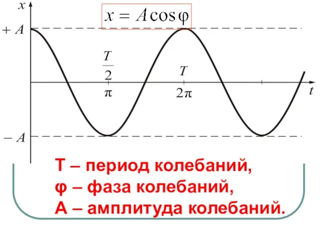 Т – период колебаний, φ – фаза колебаний, А – амплитуда колебаний.