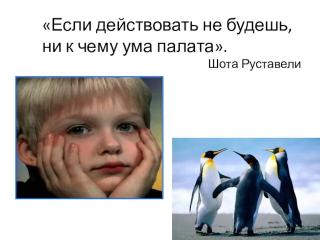 «Если действовать не будешь, ни к чему ума палата». Шота Руставели