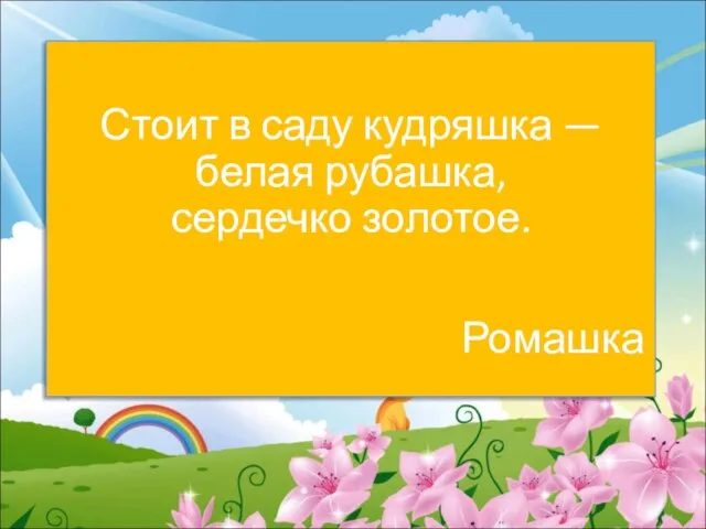 Стоит в саду кудряшка — белая рубашка, сердечко золотое. Ромашка