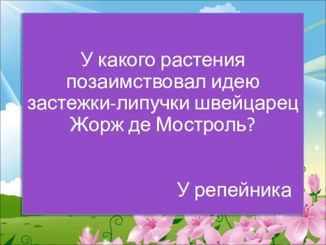 У какого растения позаимствовал идею застежки-липучки швейцарец Жорж де Мостроль? У репейника