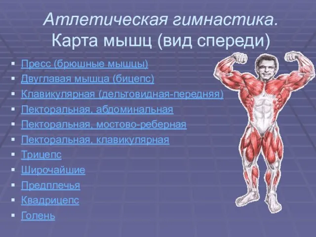 Атлетическая гимнастика. Карта мышц (вид спереди) Пресс (брюшные мышцы) Двуглавая мышца (бицепс)