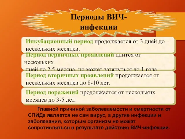 Периоды ВИЧ-инфекции Инкубационный период продолжается от 3 дней до нескольких месяцев. Период