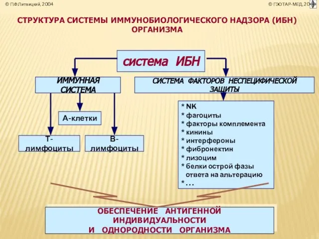 СТРУКТУРА СИСТЕМЫ ИММУНОБИОЛОГИЧЕСКОГО НАДЗОРА (ИБН) ОРГАНИЗМА система ИБН ОБЕСПЕЧЕНИЕ АНТИГЕННОЙ ИНДИВИДУАЛЬНОСТИ И ОДНОРОДНОСТИ ОРГАНИЗМА