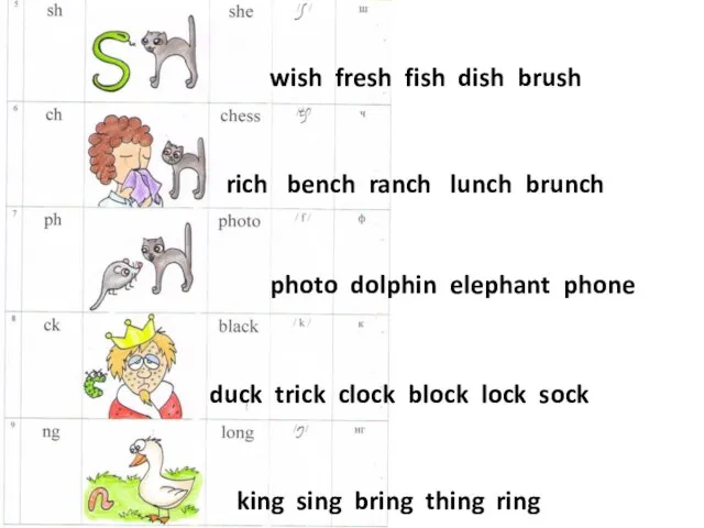 wish fresh fish dish brush rich bench ranch lunch brunch photo dolphin