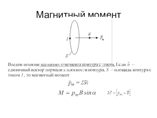 Магнитный момент