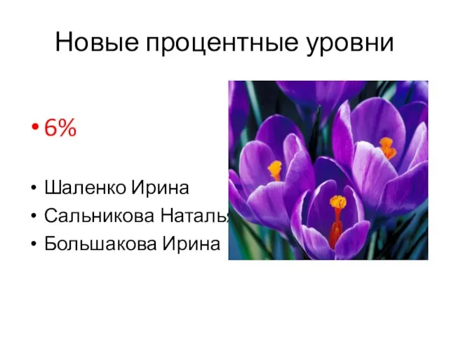 Новые процентные уровни 6% Шаленко Ирина Сальникова Наталья Большакова Ирина