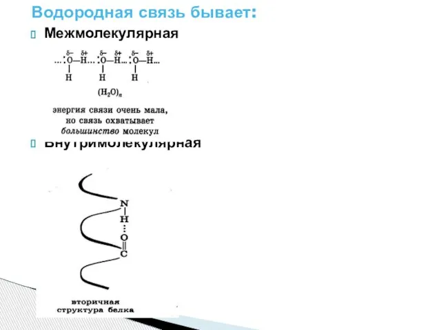 Водородная связь бывает: Межмолекулярная Внутримолекулярная