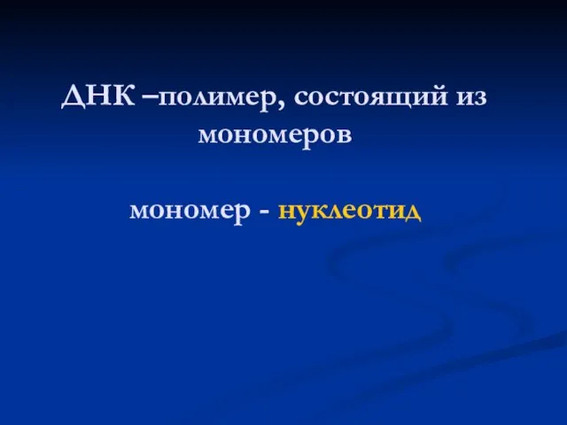 ДНК –полимер, состоящий из мономеров мономер - нуклеотид