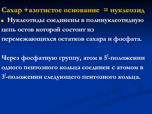 Сахар +азотистое основание = нуклеозид Нуклеотиды соединены в полинуклеотидную цепь остов которой