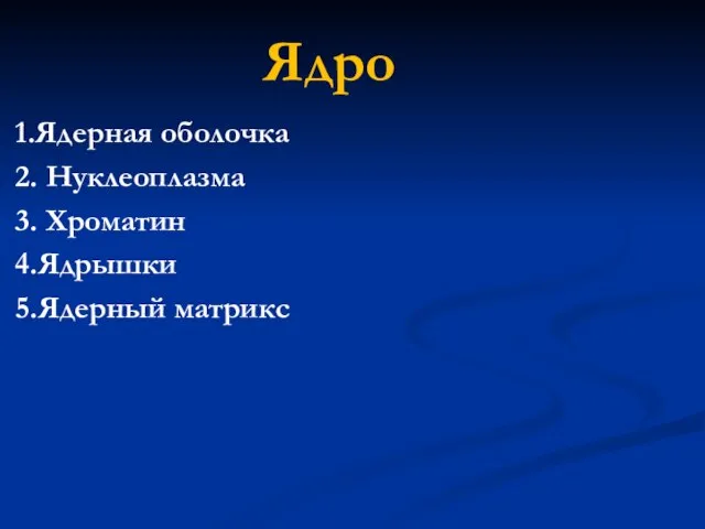 Ядро 1.Ядерная оболочка 2. Нуклеоплазма 3. Хроматин 4.Ядрышки 5.Ядерный матрикс