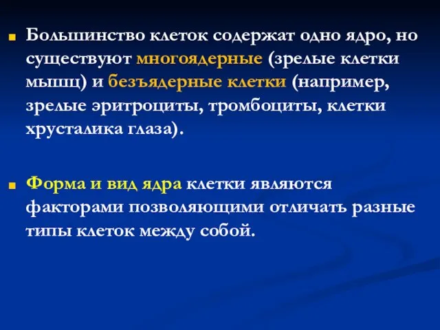 Большинство клеток содержат одно ядро, но существуют многоядерные (зрелые клетки мышц) и