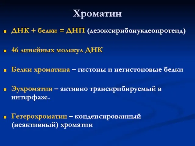 Хроматин ДНК + белки = ДНП (дезоксирибонуклеопротеид) 46 линейных молекул ДНК Белки