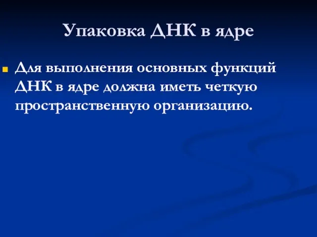 Упаковка ДНК в ядре Для выполнения основных функций ДНК в ядре должна иметь четкую пространственную организацию.