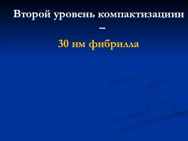 Второй уровень компактизациии – 30 нм фибрилла