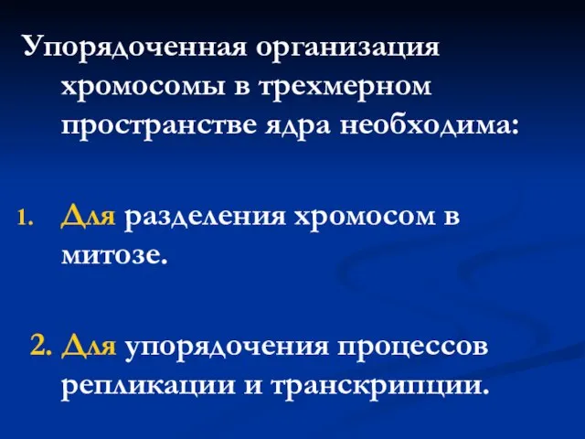 Упорядоченная организация хромосомы в трехмерном пространстве ядра необходима: Для разделения хромосом в