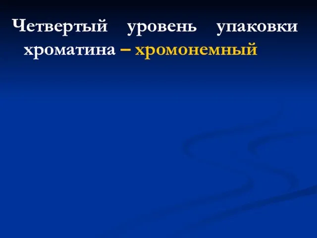 Четвертый уровень упаковки хроматина – хромонемный