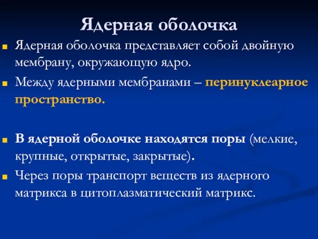 Ядерная оболочка Ядерная оболочка представляет собой двойную мембрану, окружающую ядро. Между ядерными