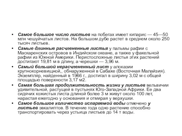 Самое большое число листьев на побегах имеет кипарис — 45—50 млн чешуйчатых