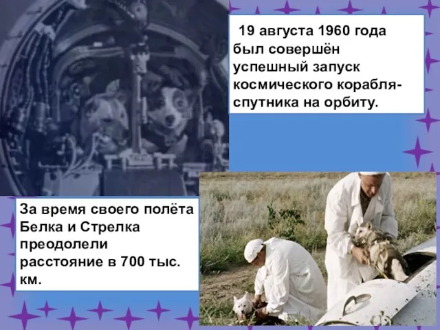 19 августа 1960 года был совершён успешный запуск космического корабля-спутника на орбиту.