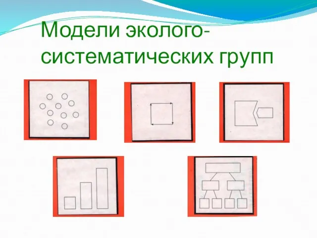 Модели эколого-систематических групп