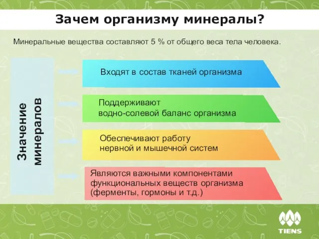 Зачем организму минералы? Минеральные вещества составляют 5 % от общего веса тела