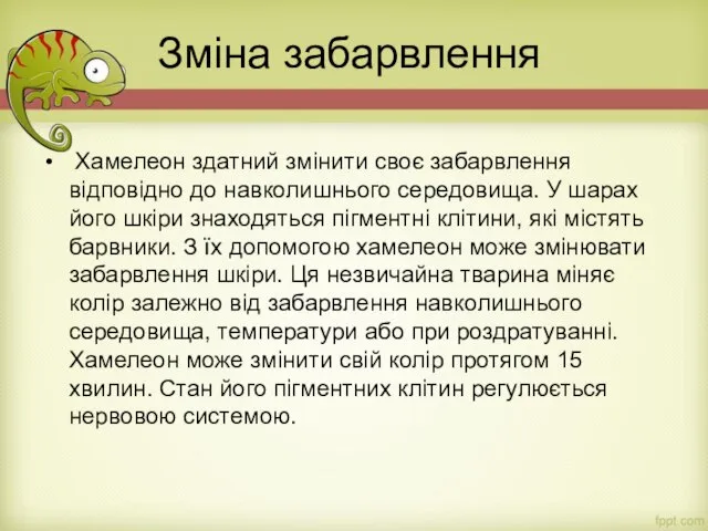 Зміна забарвлення Хамелеон здатний змінити своє забарвлення відповідно до навколишнього середовища. У