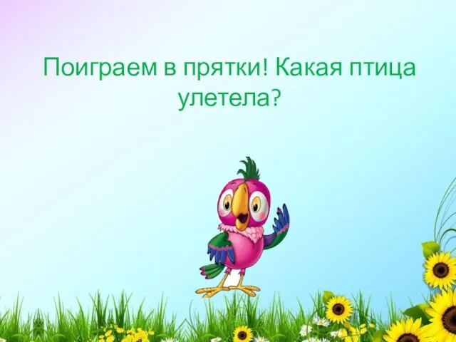 Поиграем в прятки! Какая птица улетела?