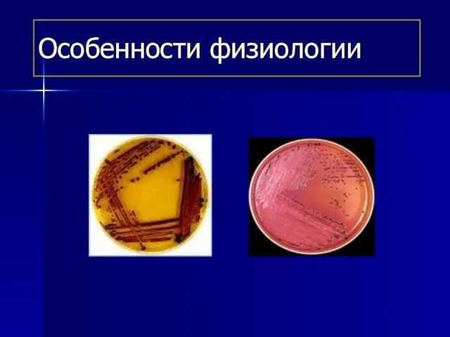 Особенности физиологии