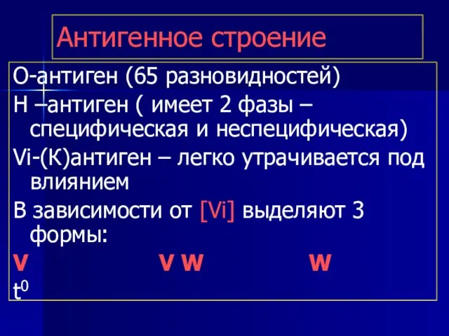 Антигенное строение О-антиген (65 разновидностей) Н –антиген ( имеет 2 фазы –специфическая