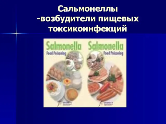 Сальмонеллы -возбудители пищевых токсикоинфекций