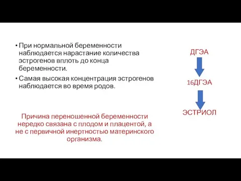 При нормальной беременности наблюдается нарастание количества эстрогенов вплоть до конца беременности. Самая